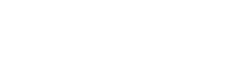 Wisetrack--Logos-blanco